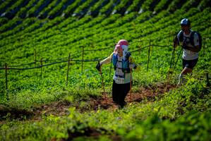 BIB: 1292
                            <button type="button" onclick="openModal(19161220)" class="btn btn-primary btn-sm float-right btn-popup" data-toggle="modal" data-target=".modal-high-quality">
                        <i class="fas fa-shopping-cart"></i> Add to Cart
                    </button>
                                            <button type="button" onclick="isThisMe(19161220, true)" class="btn btn-success btn-sm float-right btn-popup btn-isme hidden" data-toggle="tooltip" data-placement="bottom" title="นี่คือรูปของคุณใช่ไหม คลิกที่นี่เพื่อเอาเข้าอัลบั้ม">
                        <i class="fas fa-plus"></i> Add to album
                    </button>
                    <button type="button" onclick="isThisMe(19161220, false)" class="btn btn-warning btn-sm float-right btn-popup btn-isnotme hidden">
                        <i class="fas fa-ban"></i> Remove from album
                    </button>